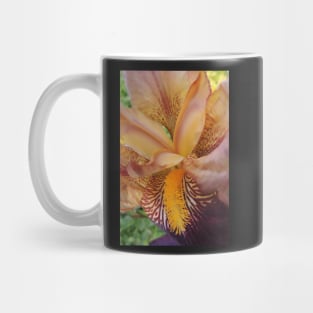 Purple and Orange Mug